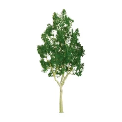 JTT Scenery 94401 Z Scale Professional Trees Mountain Gum 3/4'' Pro (6)
